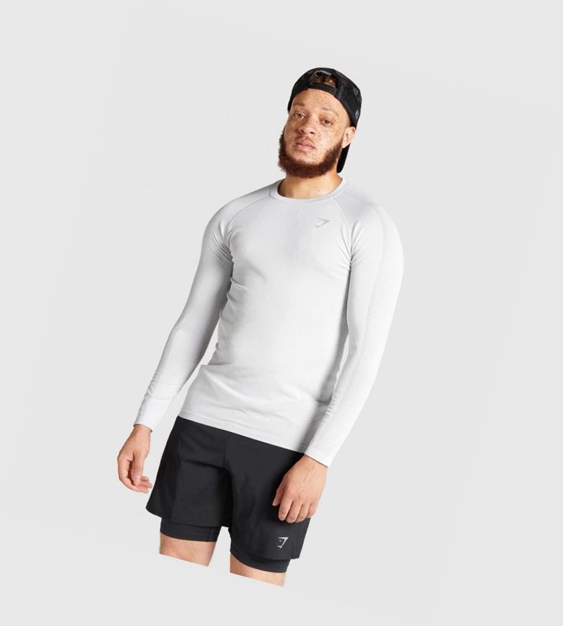 Camiseta Gymshark Aspect Ligeros Seamless Hombre Grises Claro | ASWGUFZ-80