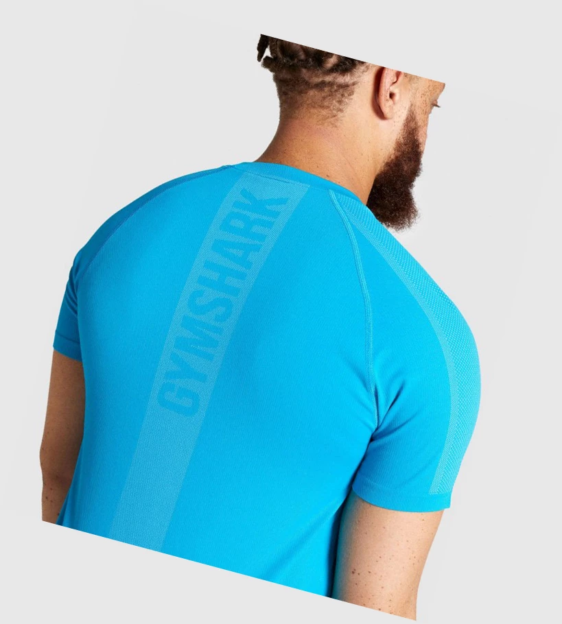 Camiseta Gymshark Aspect Ligeros Seamless Hombre Azules | FRMHQTC-98