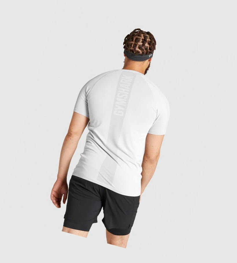 Camiseta Gymshark Aspect Ligeros Seamless Hombre Grises Claro | ZTEGBQD-67