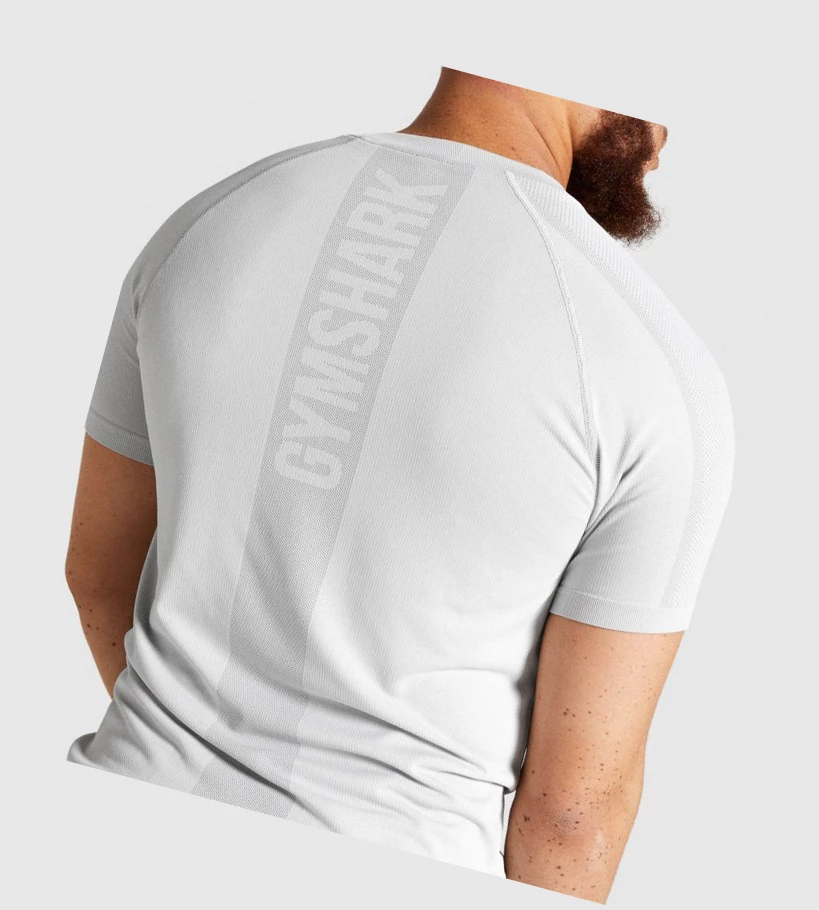 Camiseta Gymshark Aspect Ligeros Seamless Hombre Grises Claro | ZTEGBQD-67