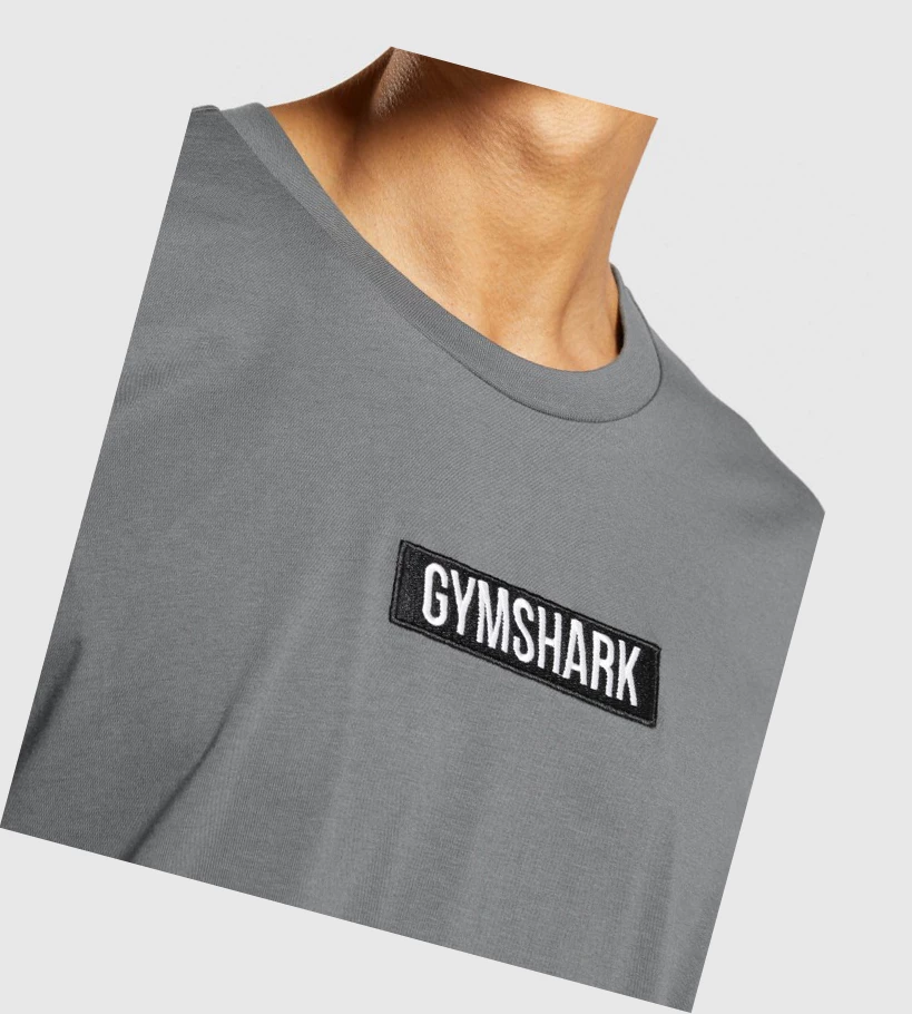 Camiseta Gymshark Central Oversized Hombre Grises | BJLSAXP-19