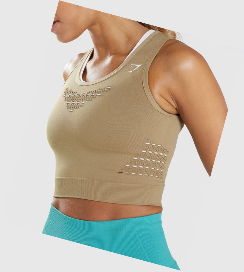 Camiseta Gymshark Energy Seamless Crop Top Mujer Marrom | EOQGKIB-58