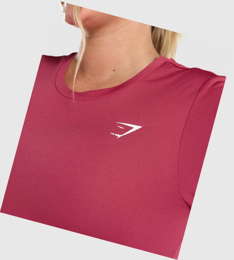 Camiseta Gymshark Entrenamiento Mujer Rosas | ECJPSQO-28