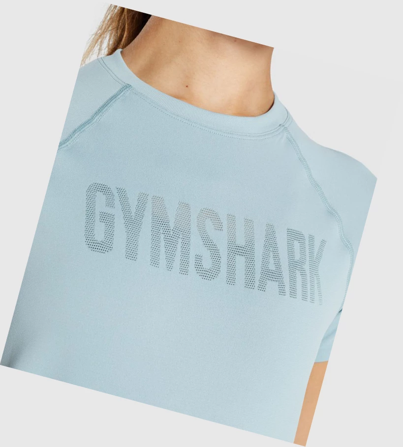 Camiseta Gymshark Fit Seamless Loose Mujer Azules | JBNQGRV-53