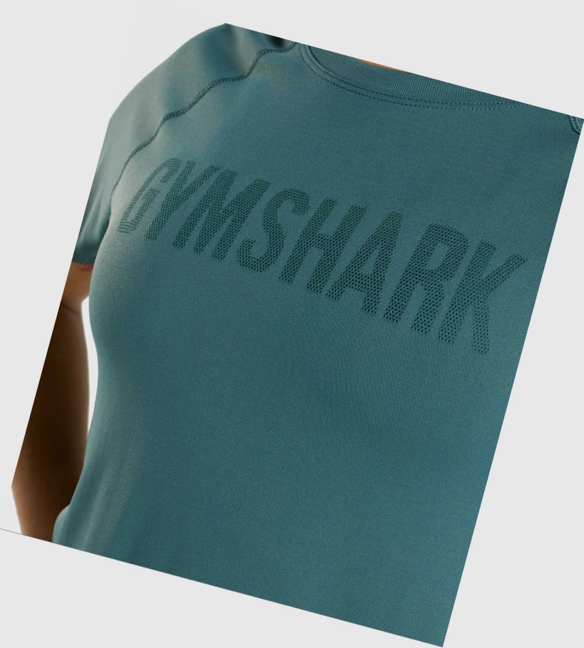 Camiseta Gymshark Fit Seamless Mujer Verdes Oscuro | IRHMGXE-40