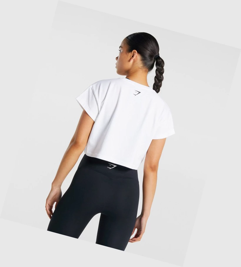 Camiseta Gymshark Fraction Crop Top Mujer Blancos | FOCWXGQ-35