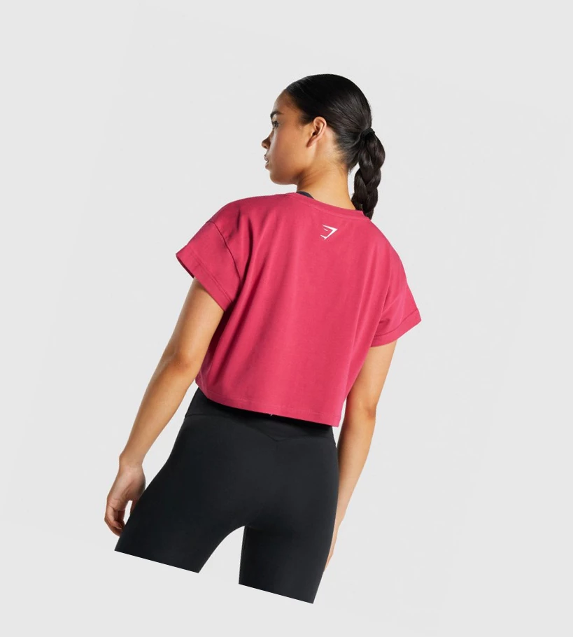 Camiseta Gymshark Fraction Crop Top Mujer Rosas | TWGSMPZ-40