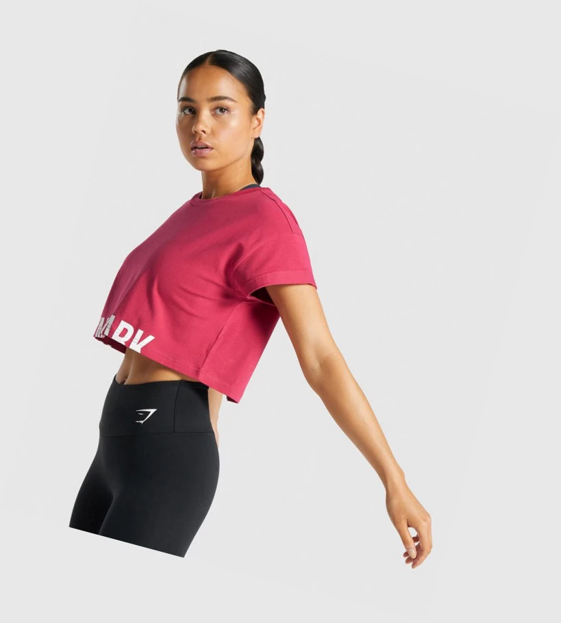 Camiseta Gymshark Fraction Crop Top Mujer Rosas | TWGSMPZ-40