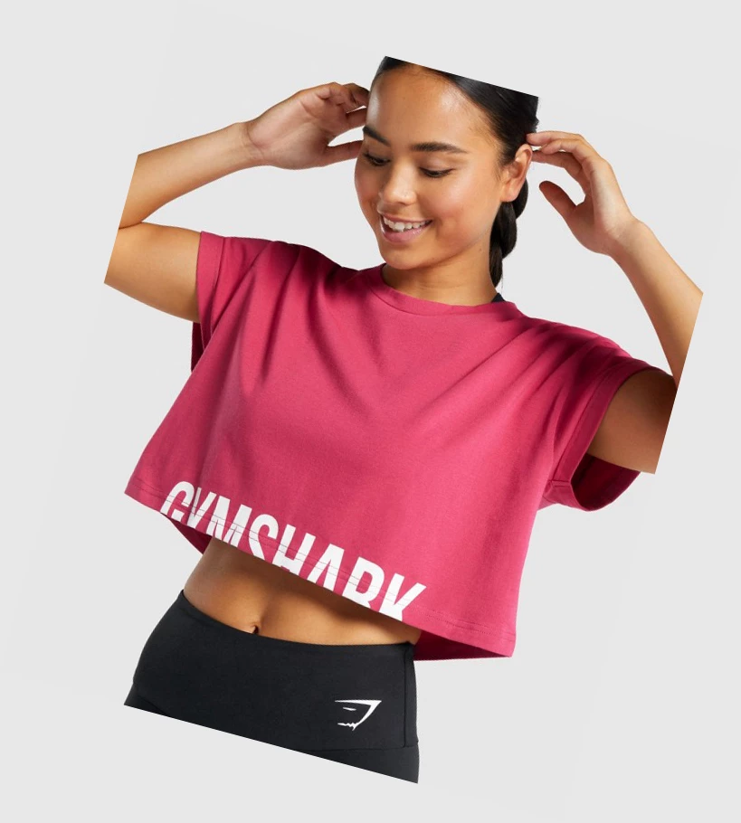 Camiseta Gymshark Fraction Crop Top Mujer Rosas | TWGSMPZ-40