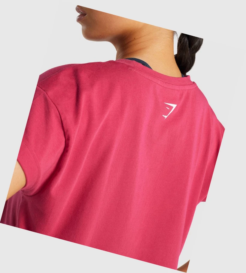 Camiseta Gymshark Fraction Crop Top Mujer Rosas | TWGSMPZ-40