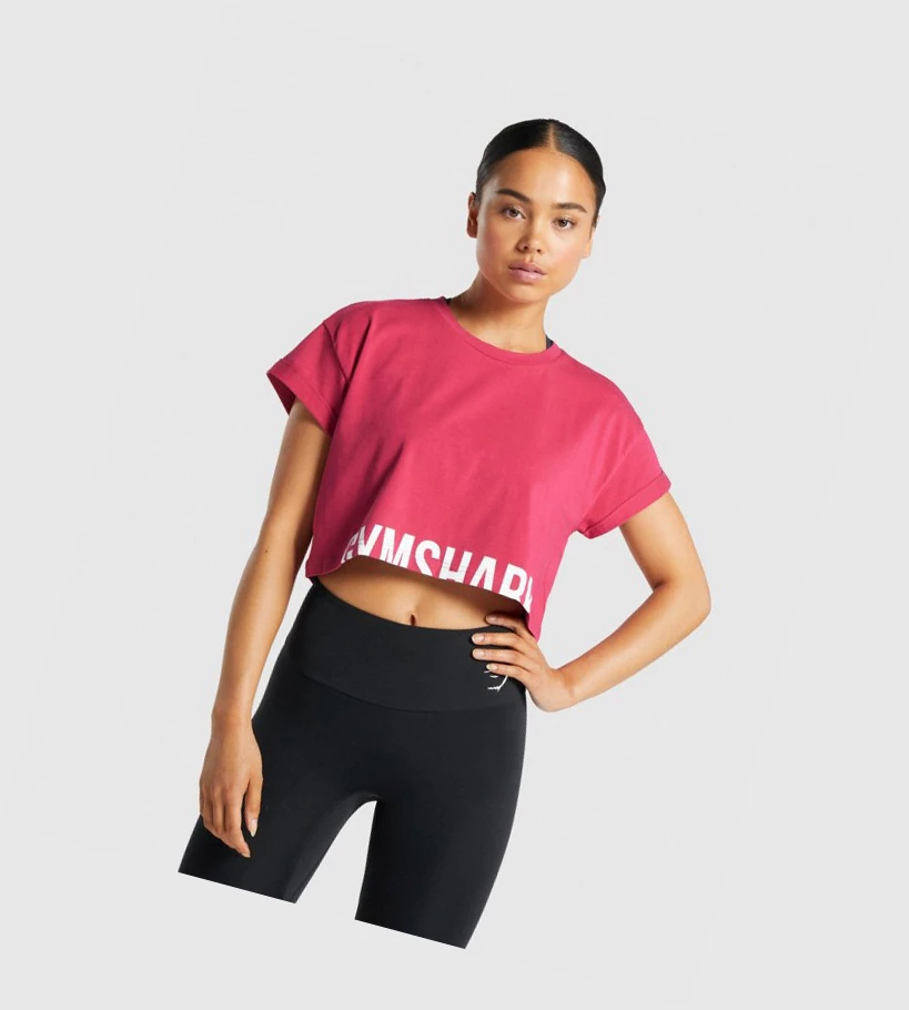 Camiseta Gymshark Fraction Crop Top Mujer Rosas | TWGSMPZ-40