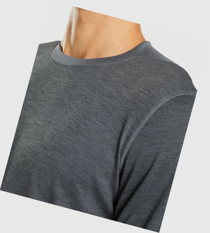 Camiseta Gymshark Retake Hombre Grises | XIBVFWD-46