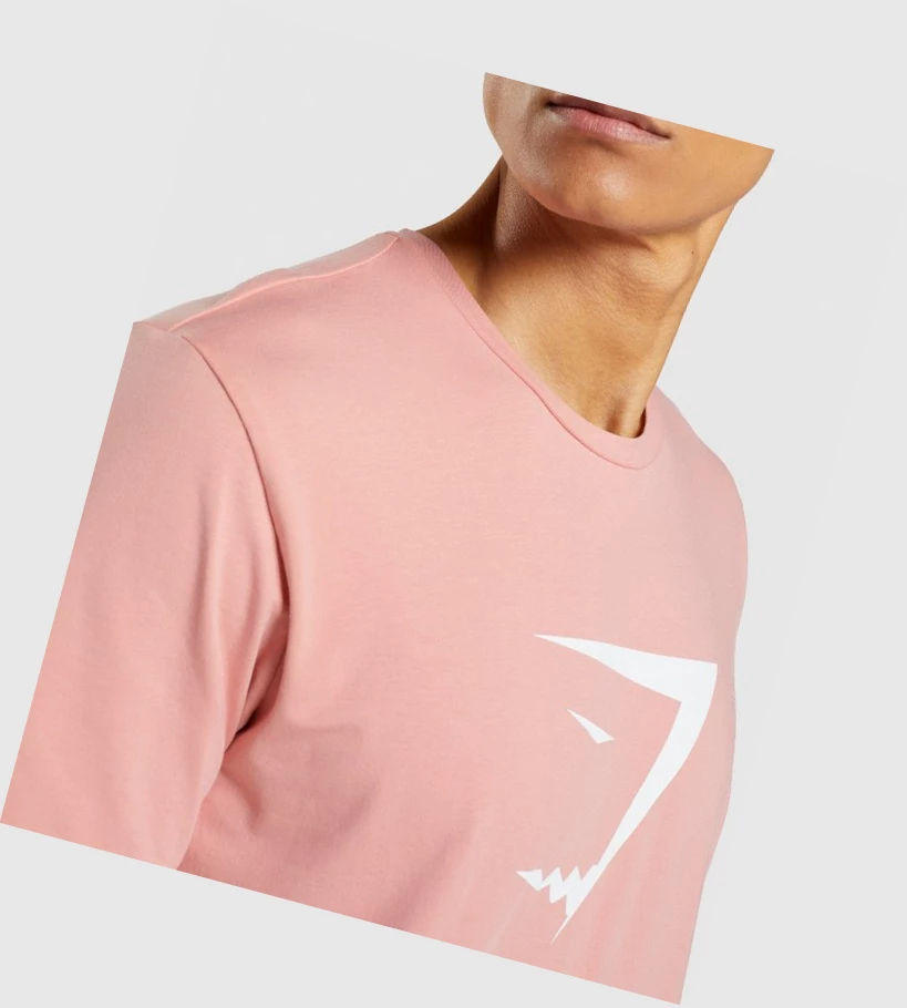 Camiseta Gymshark Sharkhead Infill Hombre Rosas | DNXFBEU-54