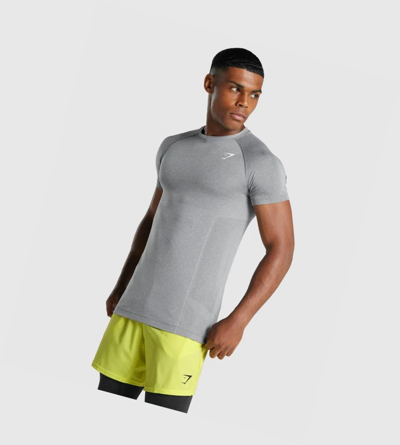 Camiseta Gymshark Vital Light seamless Hombre Grises | KWFRGEN-54