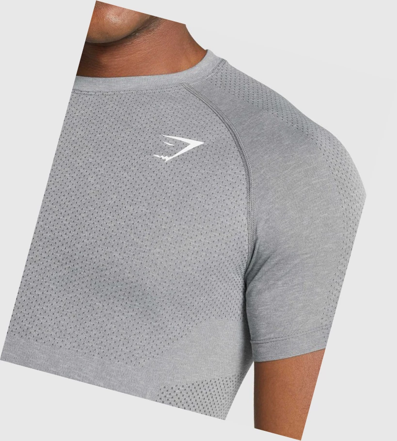 Camiseta Gymshark Vital Light seamless Hombre Grises | KWFRGEN-54