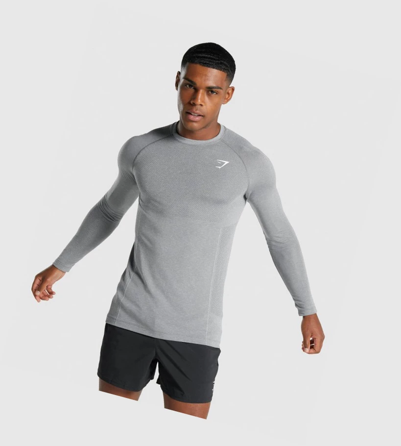 Camiseta Gymshark Vital Light seamless Hombre Grises | YHKAWGM-25