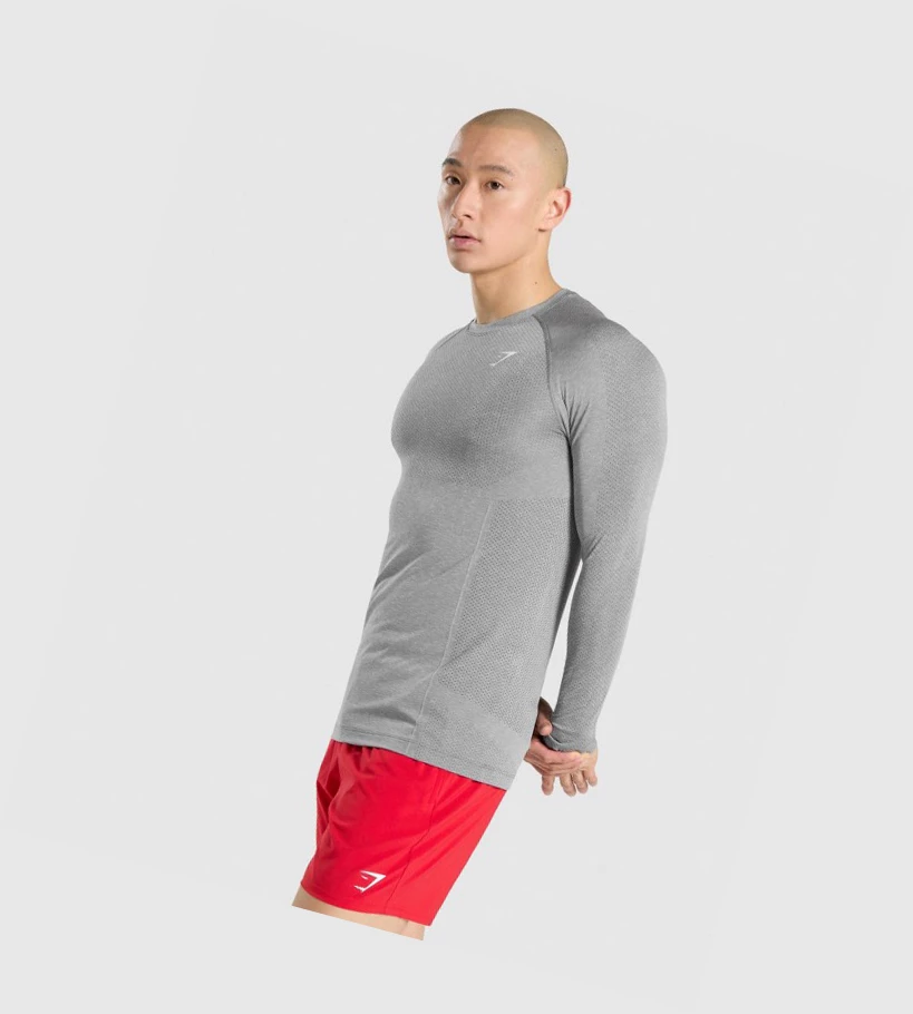 Camiseta Gymshark Vital Seamless Hombre Grises | KGTCFZJ-23