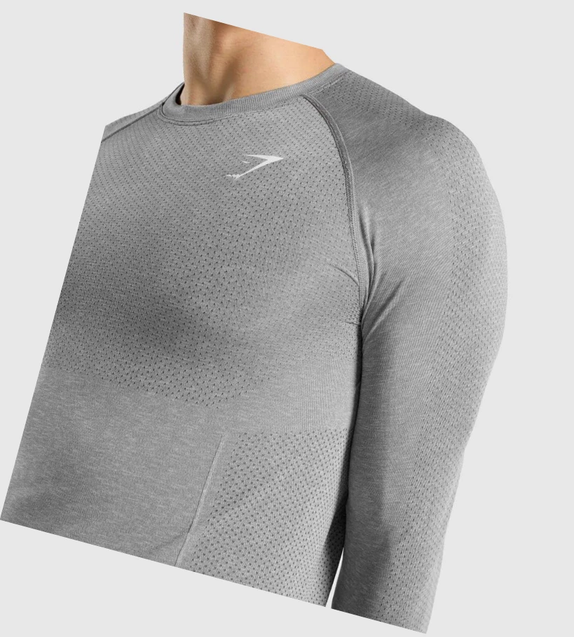 Camiseta Gymshark Vital Seamless Hombre Grises | KGTCFZJ-23