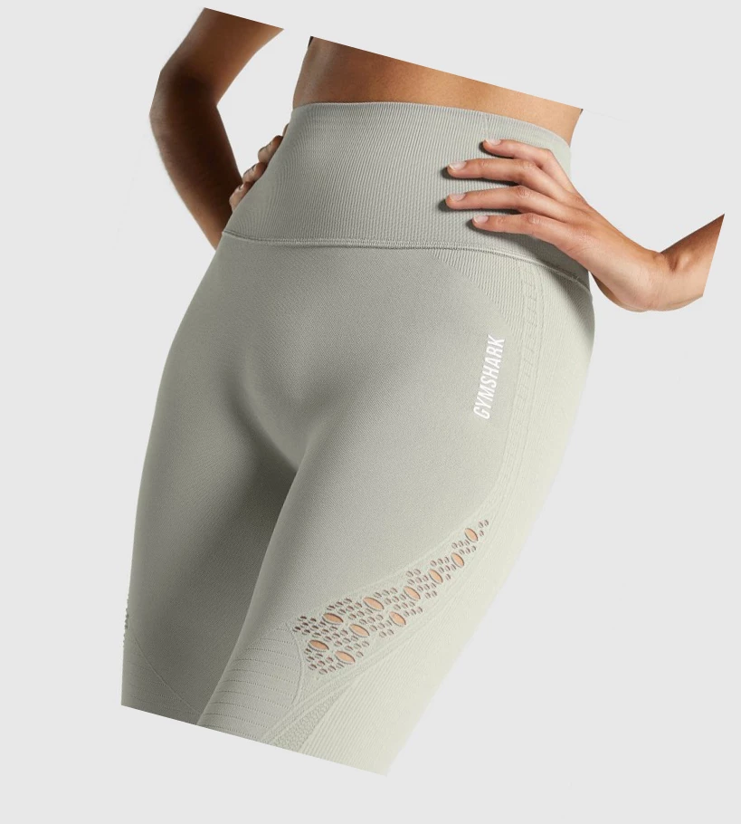 Leggins Gymshark Energy Seamless High Waisted Mujer Grises Claro | MXEWSYV-56