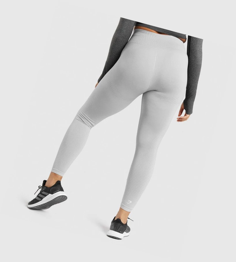 Leggins Gymshark Vital Seamless 2.0 High Waisted Mujer Grises Claro | HKXBULJ-36