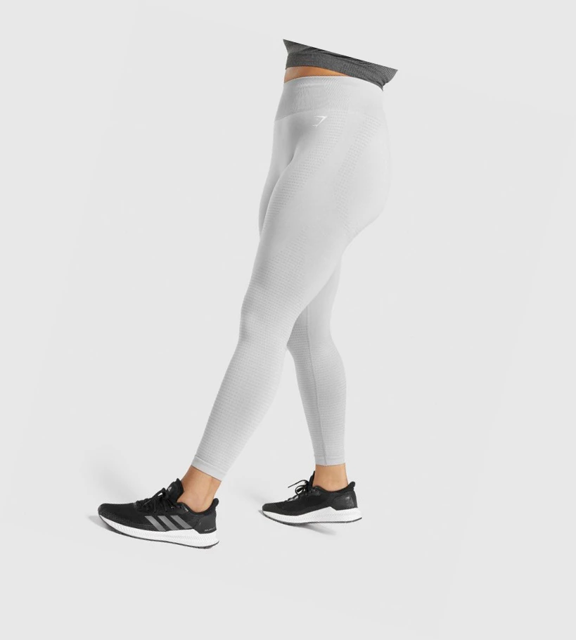 Leggins Gymshark Vital Seamless 2.0 High Waisted Mujer Grises Claro | HKXBULJ-36