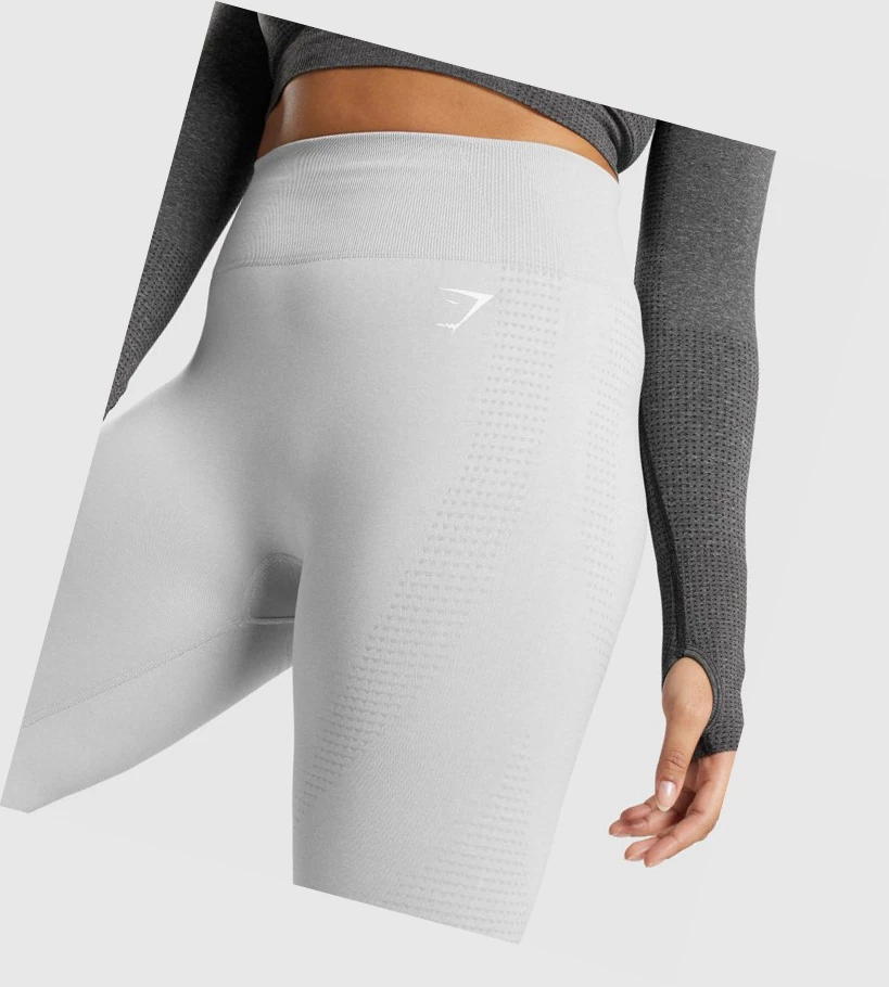 Leggins Gymshark Vital Seamless 2.0 High Waisted Mujer Grises Claro | HKXBULJ-36