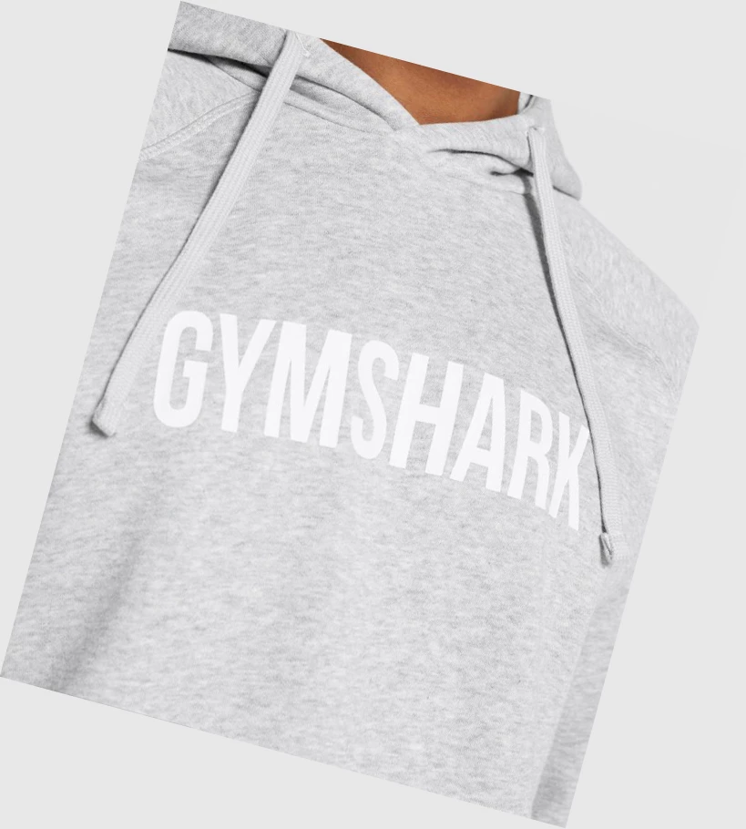 Sudadera Con Capucha Gymshark Apollo Hombre Grises Claro | NGZYUXD-96