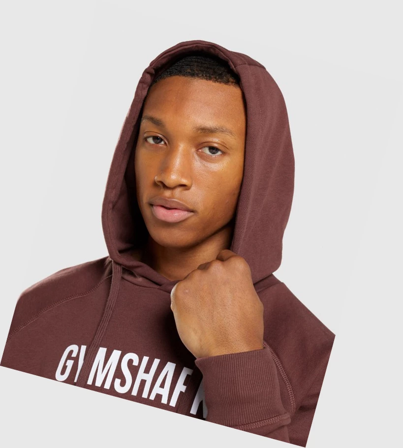 Sudadera Con Capucha Gymshark Apollo Hombre Rosas Marrom | QKABZRP-69