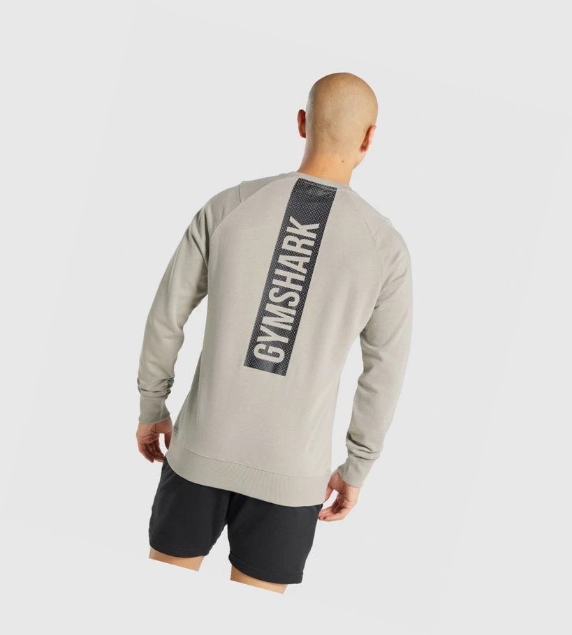 Sudadera Con Capucha Gymshark Bold Crew Hombre Grises | UNHAQMR-70