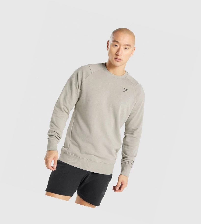 Sudadera Con Capucha Gymshark Bold Crew Hombre Grises | UNHAQMR-70