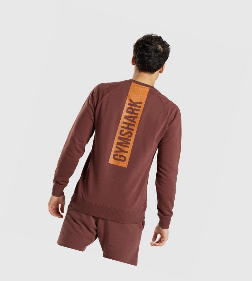 Sudadera Con Capucha Gymshark Bold Crew Hombre Rosas Marrom | XGTIDBO-09