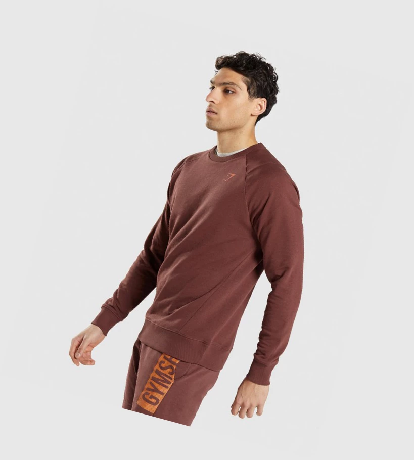 Sudadera Con Capucha Gymshark Bold Crew Hombre Rosas Marrom | XGTIDBO-09