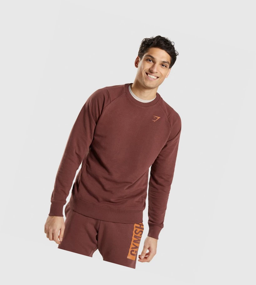 Sudadera Con Capucha Gymshark Bold Crew Hombre Rosas Marrom | XGTIDBO-09