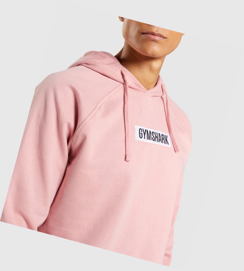 Sudadera Con Capucha Gymshark Central Hombre Rosas | AJHMYSQ-84