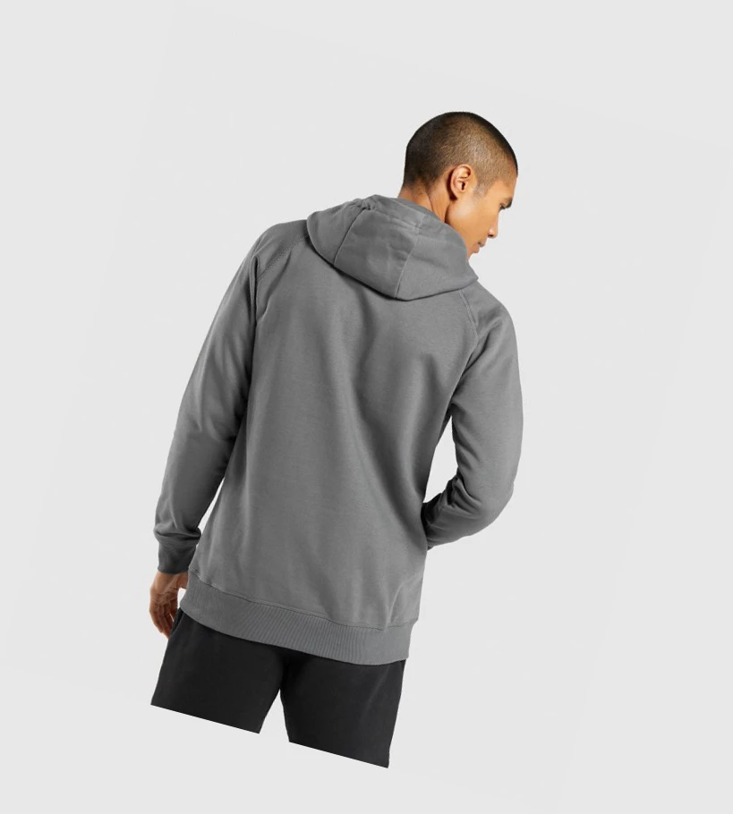 Sudadera Con Capucha Gymshark Central Hombre Grises | NEDGXAW-05