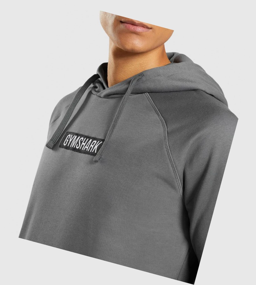 Sudadera Con Capucha Gymshark Central Hombre Grises | NEDGXAW-05