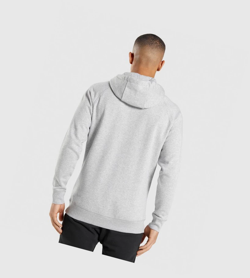 Sudadera Con Capucha Gymshark Crest Hombre Grises Claro | GBHVYXK-10