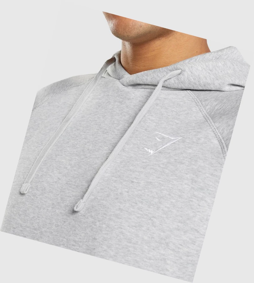 Sudadera Con Capucha Gymshark Crest Hombre Grises Claro | GBHVYXK-10