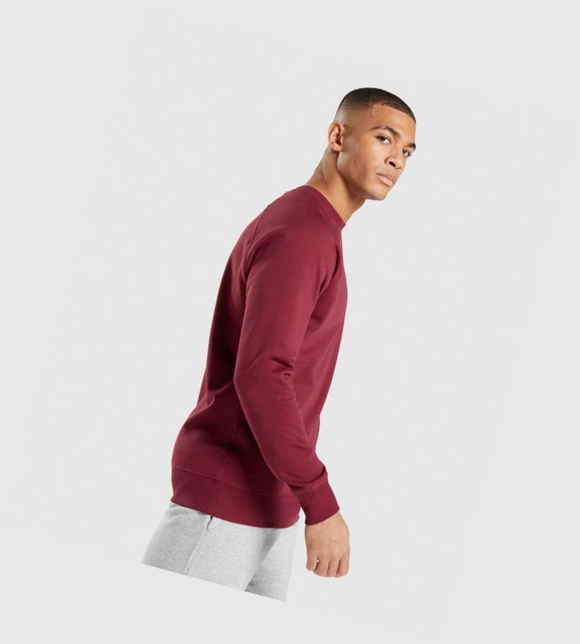 Sudadera Con Capucha Gymshark Crest Sweatshirt Hombre Vino Rojos | BLAJTKR-54