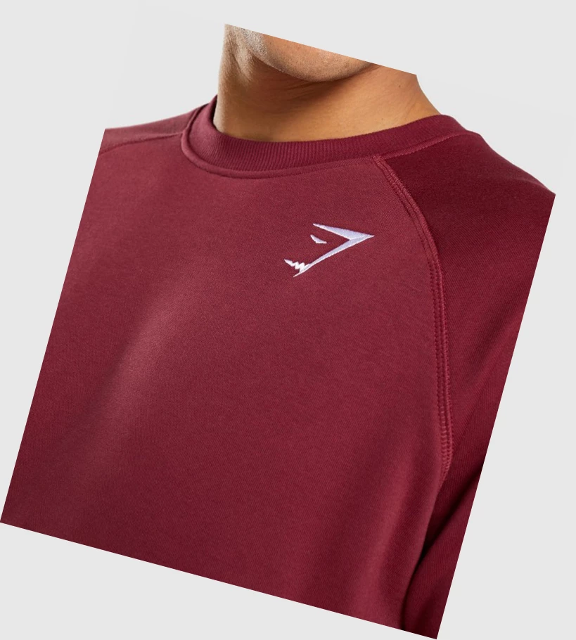 Sudadera Con Capucha Gymshark Crest Sweatshirt Hombre Vino Rojos | BLAJTKR-54