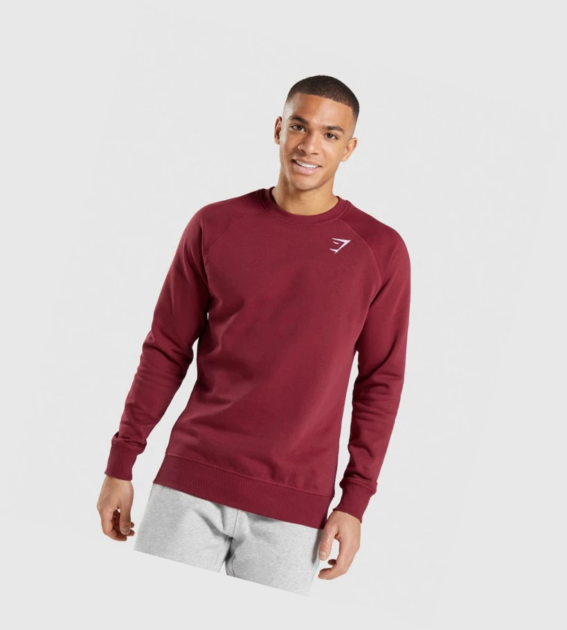 Sudadera Con Capucha Gymshark Crest Sweatshirt Hombre Vino Rojos | BLAJTKR-54