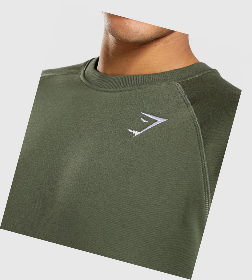 Sudadera Con Capucha Gymshark Crest Sweatshirt Hombre Verde Oliva | GFDMKTJ-14