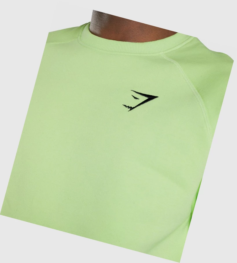 Sudadera Con Capucha Gymshark Crest Sweatshirt Hombre Verdes | XZIBWEJ-23