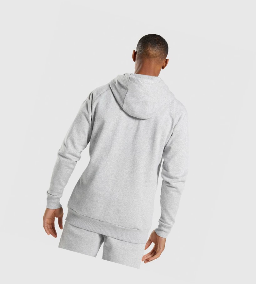 Sudadera Con Capucha Gymshark Crest Zip Up Hombre Grises Claro | NVIZTPS-76