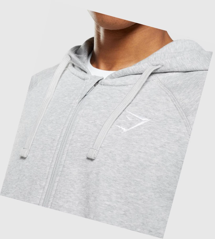 Sudadera Con Capucha Gymshark Crest Zip Up Hombre Grises Claro | NVIZTPS-76