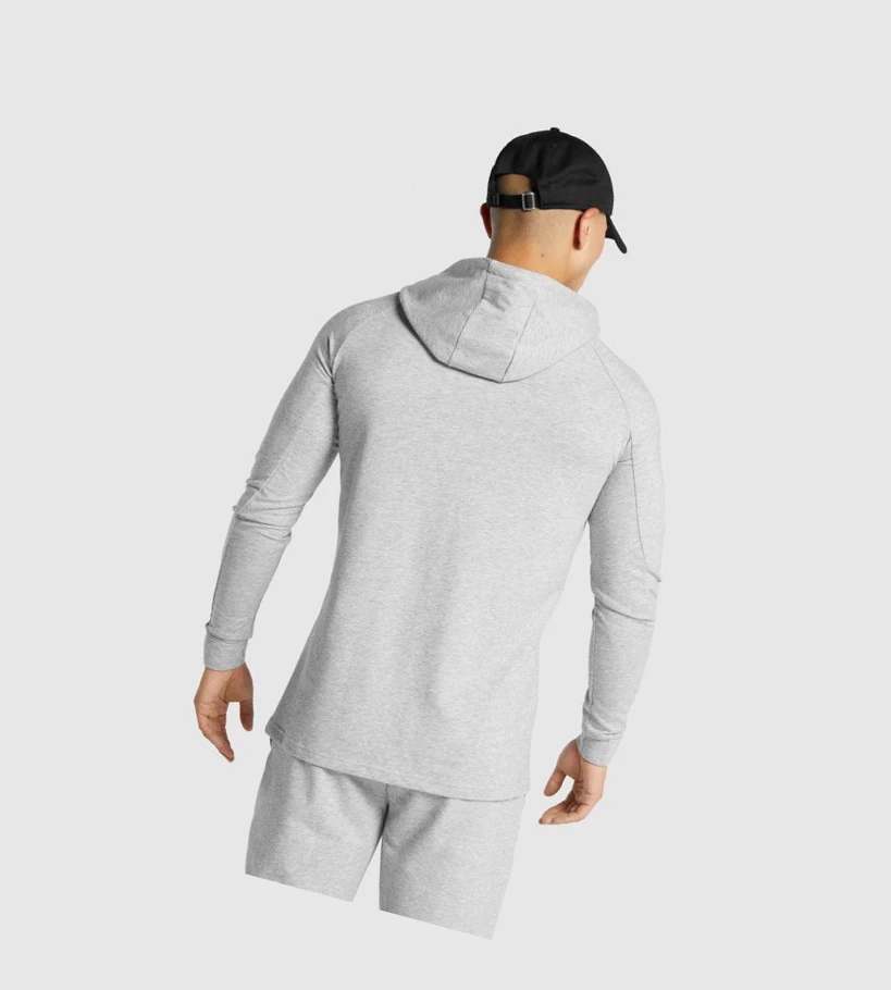 Sudadera Con Capucha Gymshark Critical 2.0 Hombre Grises Claro | SUGVDOL-65