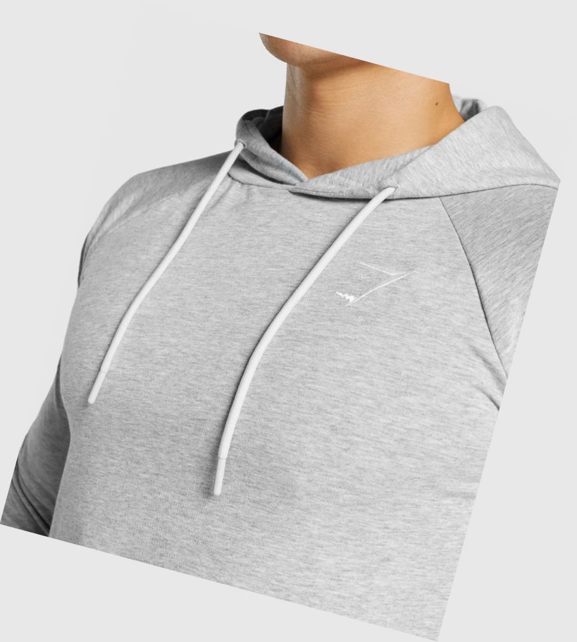 Sudadera Con Capucha Gymshark Critical 2.0 Hombre Grises Claro | SUGVDOL-65