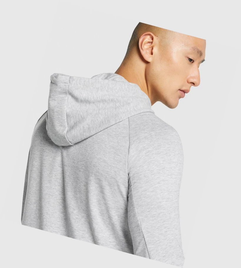 Sudadera Con Capucha Gymshark Critical 2.0 Zip Up Hombre Grises Claro | XTISPLA-15