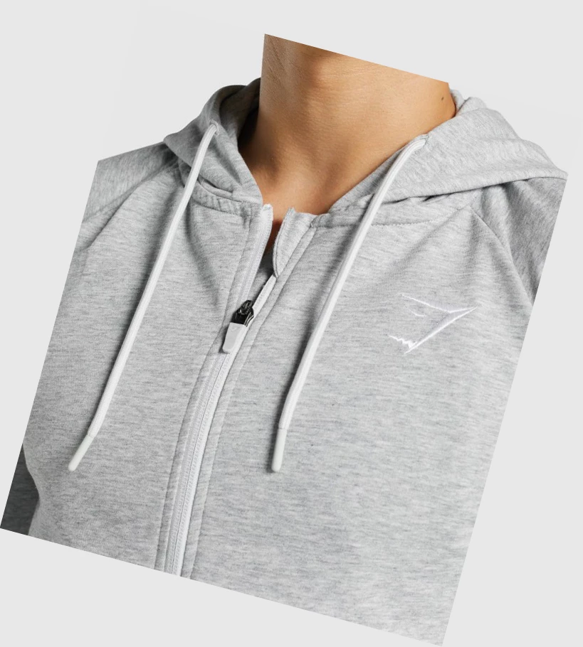 Sudadera Con Capucha Gymshark Critical 2.0 Zip Up Hombre Grises Claro | XTISPLA-15