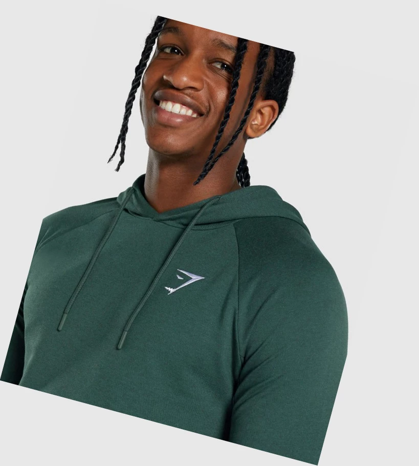 Sudadera Con Capucha Gymshark Critical 2.0 Hombre Verdes Oscuro | XWUVJYK-71